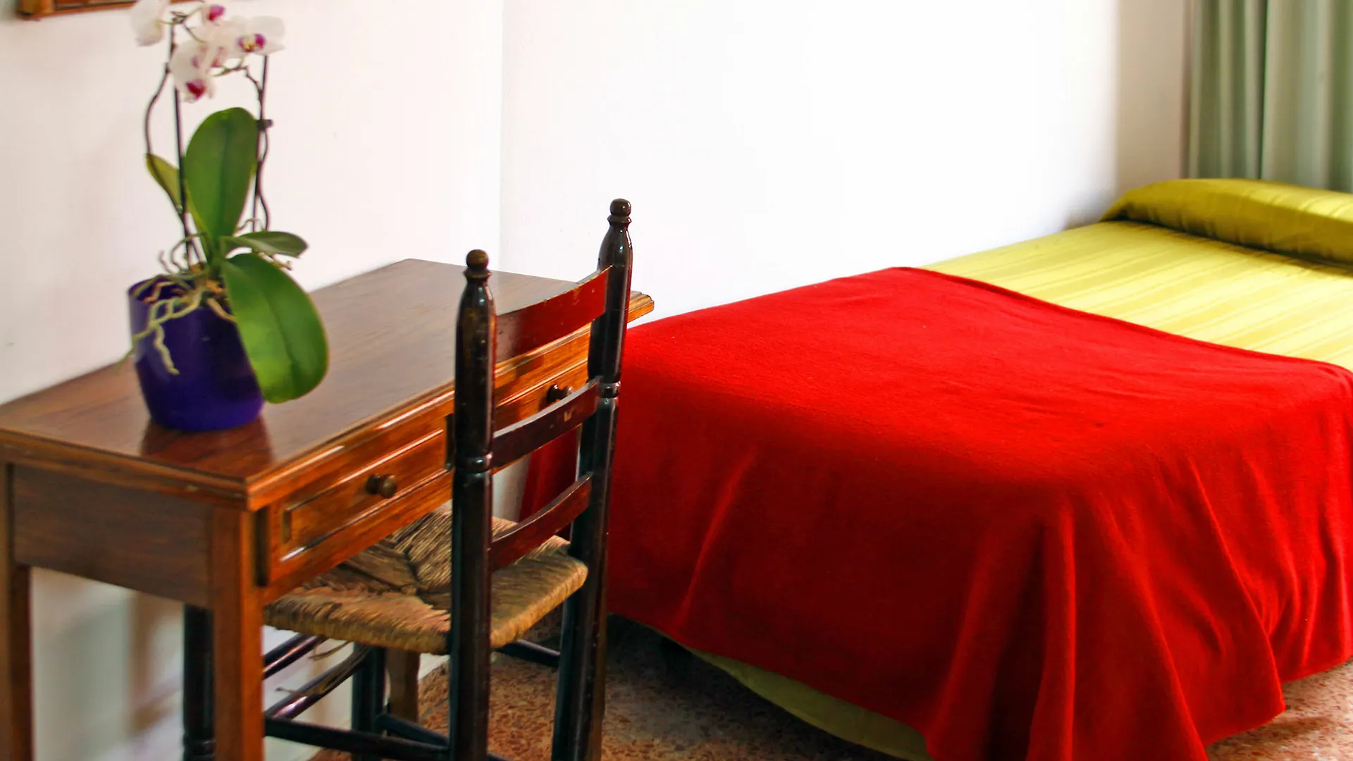 Apartaments Rosa Clara Lloret de Mar